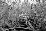 waste deposit_031